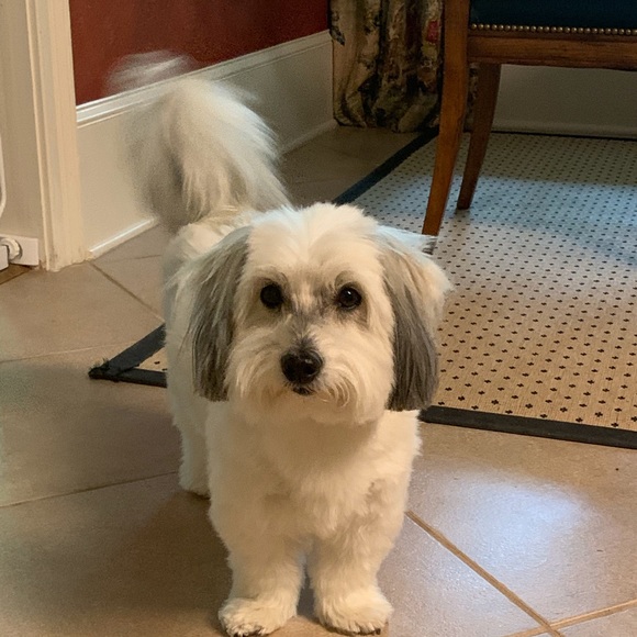 Belinda - Picture 2 of 5